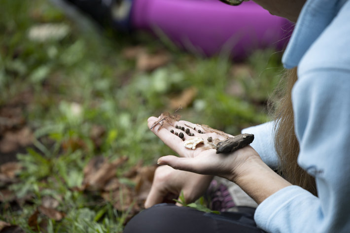 NATURE ART HEALTH: DISCOVER THE THERAPEUTIC POWER OF CREATING IN A NATURAL ENVIRONMENT <em>Photo: Urška Boljkovac, arhiv MGLC</em>